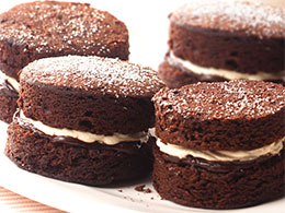 Wellcare Reduced Sugar Chocolate Cake Mix